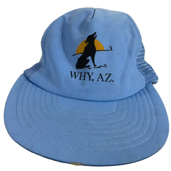 Why Arizona SnapBack Trucker Hat Cap Rare Heavy Patina Thrashed Heavy Wear VTG main image 14